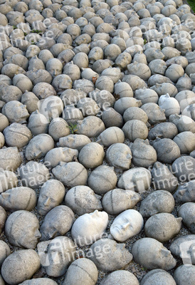 Kopfsteinpflaster von Timm Ulrichs