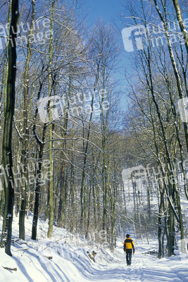 Winterwald