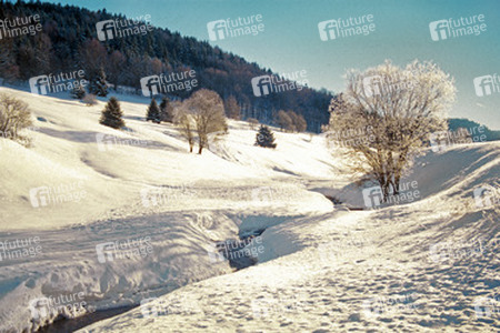 Winterlandschaft