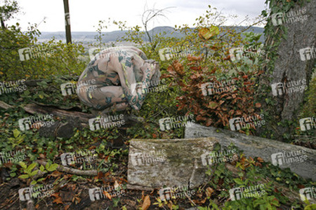 Efeu auf Stein / Ivy on Rock
