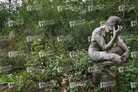 Efeu auf Stein / Ivy on Rock