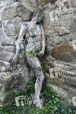 Efeu auf Stein / Ivy on Rock