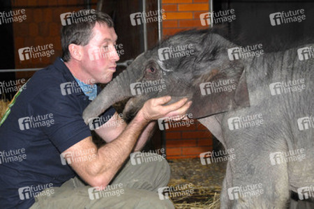 Elefanten-Baby Jamuna Toni