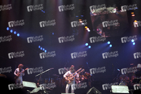 Daryl Stuermer, Mike Rutherford