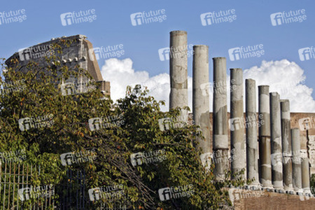 Colosseo / Kolosseum hinter Tempel der Venus und der Roma