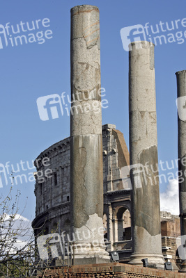 Colosseo / Kolosseum hinter Tempel der Venus und der Roma