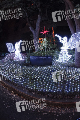 Weihnachtsimpression an der Tokyo Medical and Surgical Clinic