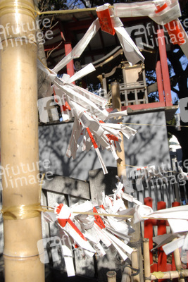 Omikuji am Hanazono-jinja Schrein