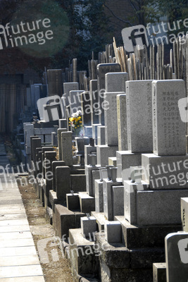 Friedhof am Shojuin Tempel