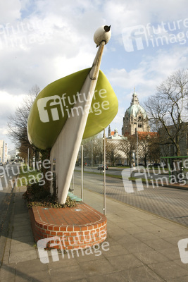 Haltestelle Friedrichswall / Culemannstraße