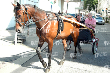 Heinz Hoenig, Henning Rathjen