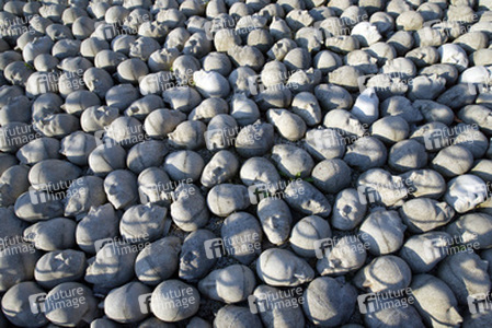 Kopfsteinpflaster von Timm Ulrichs