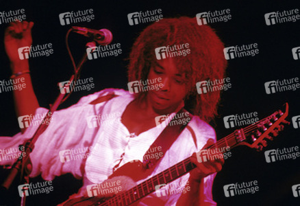 Konzert von Dan Reed Network in London