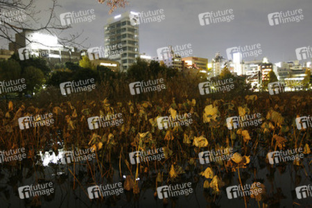 Blick vom Bentendo-Tempel auf den Stadteil Ueno