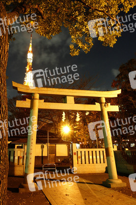 Torbogen am Zojyoji Tempel und Tokyo Tower