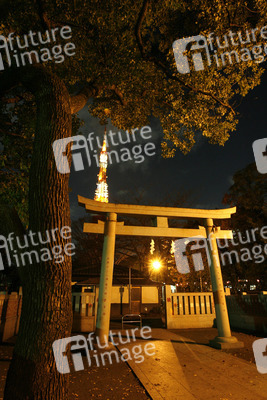 Torbogen am Zojyoji Tempel und Tokyo Tower