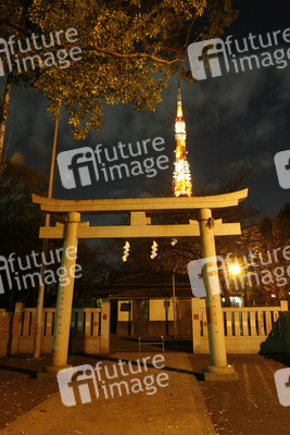 Torbogen am Zojyoji Tempel und Tokyo Tower