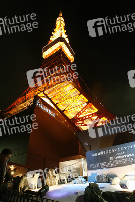 Tokyo Tower