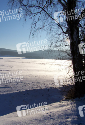 Schneebedecktes Feld