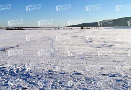 Schneebedecktes Feld