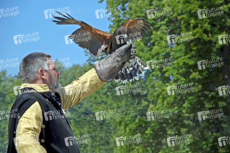 Falkner mit Rotem Milan