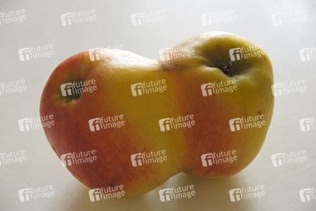 Zwei zusammengewachsene Äpfel