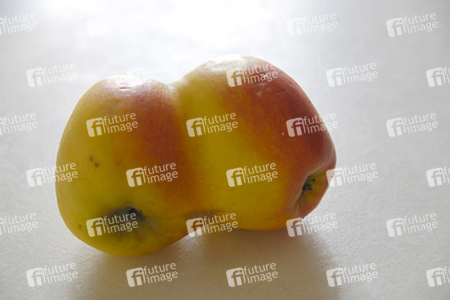 Zwei zusammengewachsene Äpfel