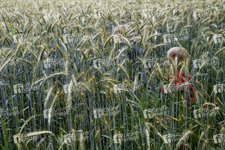 Zwei Kinder laufen durch ein Roggenfeld