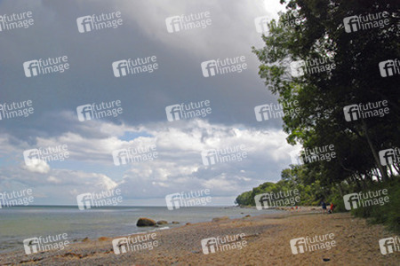Junge mit Kescher am Strand von Frederikenhof