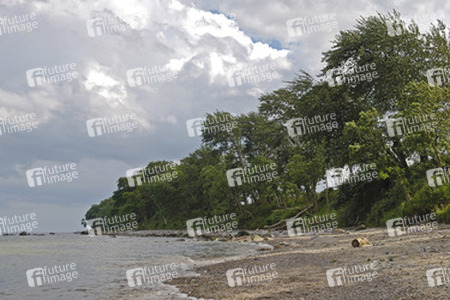 Strand bei Frederikenhof