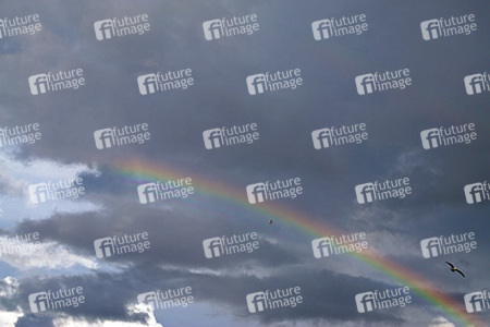 Regenbogen