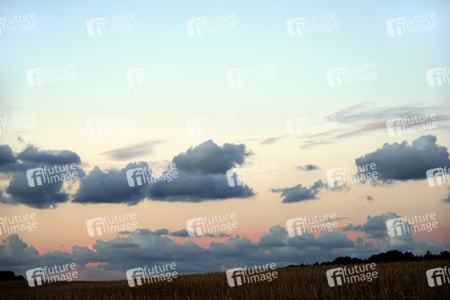 Stoppelfeld mit Abendwolken