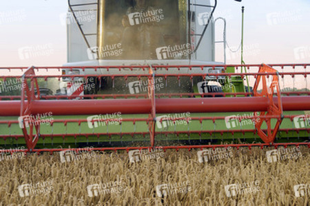 Mähdrescher im Roggenfeld