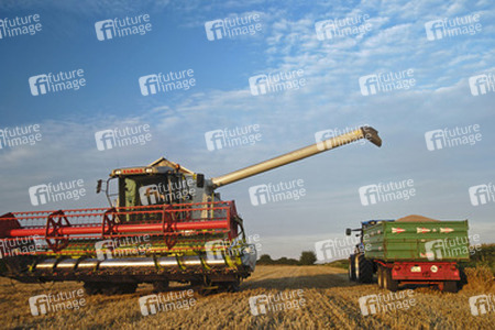 Mähdrescher und Traktor mit Anhänger