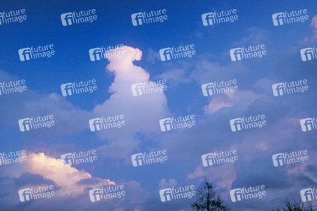 Rosa Kumulus in der Abendsonne