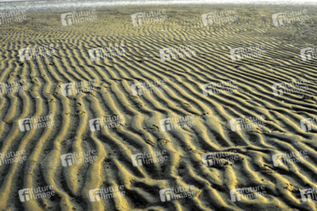 Sandrippen