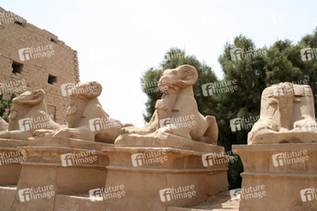 Widdersphingen vor dem 1. Pylon