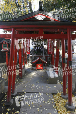 Am Hanazono-jinja Schrein