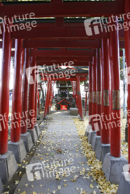 Am Hanazono-jinja Schrein