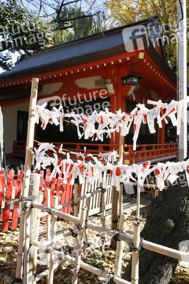 Omikuji am Hanazono-jinja Schrein