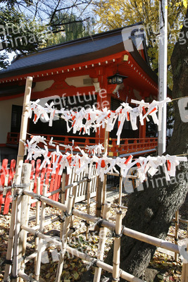 Omikuji am Hanazono-jinja Schrein