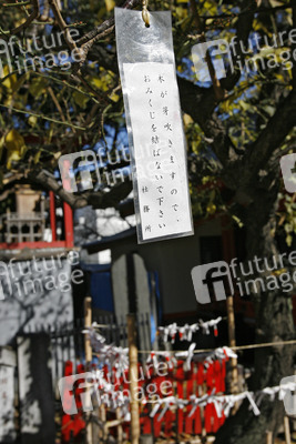 Omikuji am Hanazono-jinja Schrein