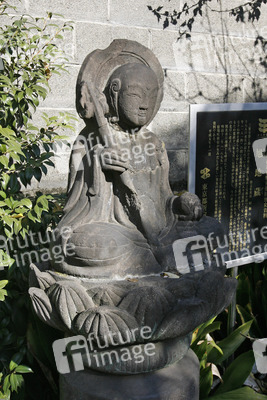 Friedhof am Shojuin Tempel