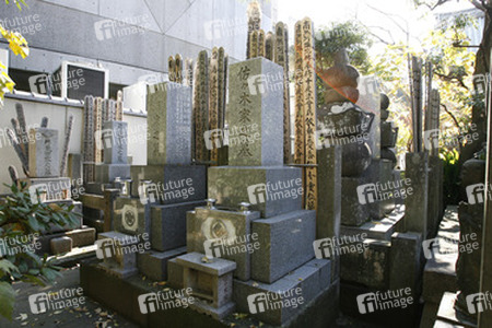 Friedhof am Shojuin Tempel