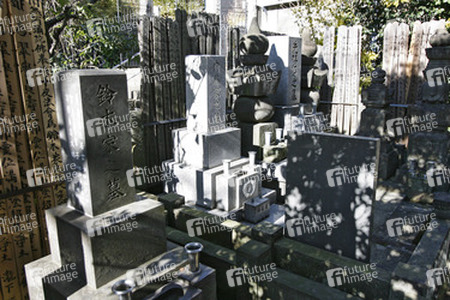 Friedhof am Shojuin Tempel