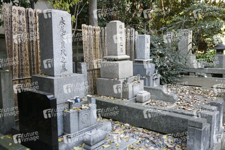 Friedhof am Shojuin Tempel