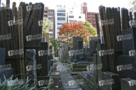 Friedhof am Shojuin Tempel