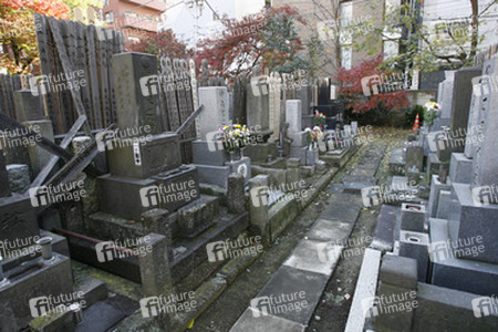 Friedhof am Shojuin Tempel