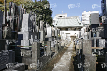 Friedhof am Shojuin Tempel