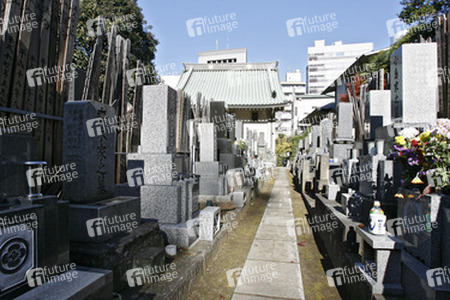 Friedhof am Shojuin Tempel
